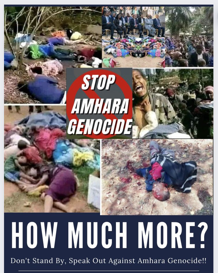 "Stop Funding War Crimes: IMF, World Bank – No More Support for Abiy’s Drone Strikes!"

"Blood on Your Hands: IMF, World Bank, Stop Backing Abiy’s Drone Strikes on Amhara!"
#AmharaGenocide
#WarOnAmhara
@waronamhara
