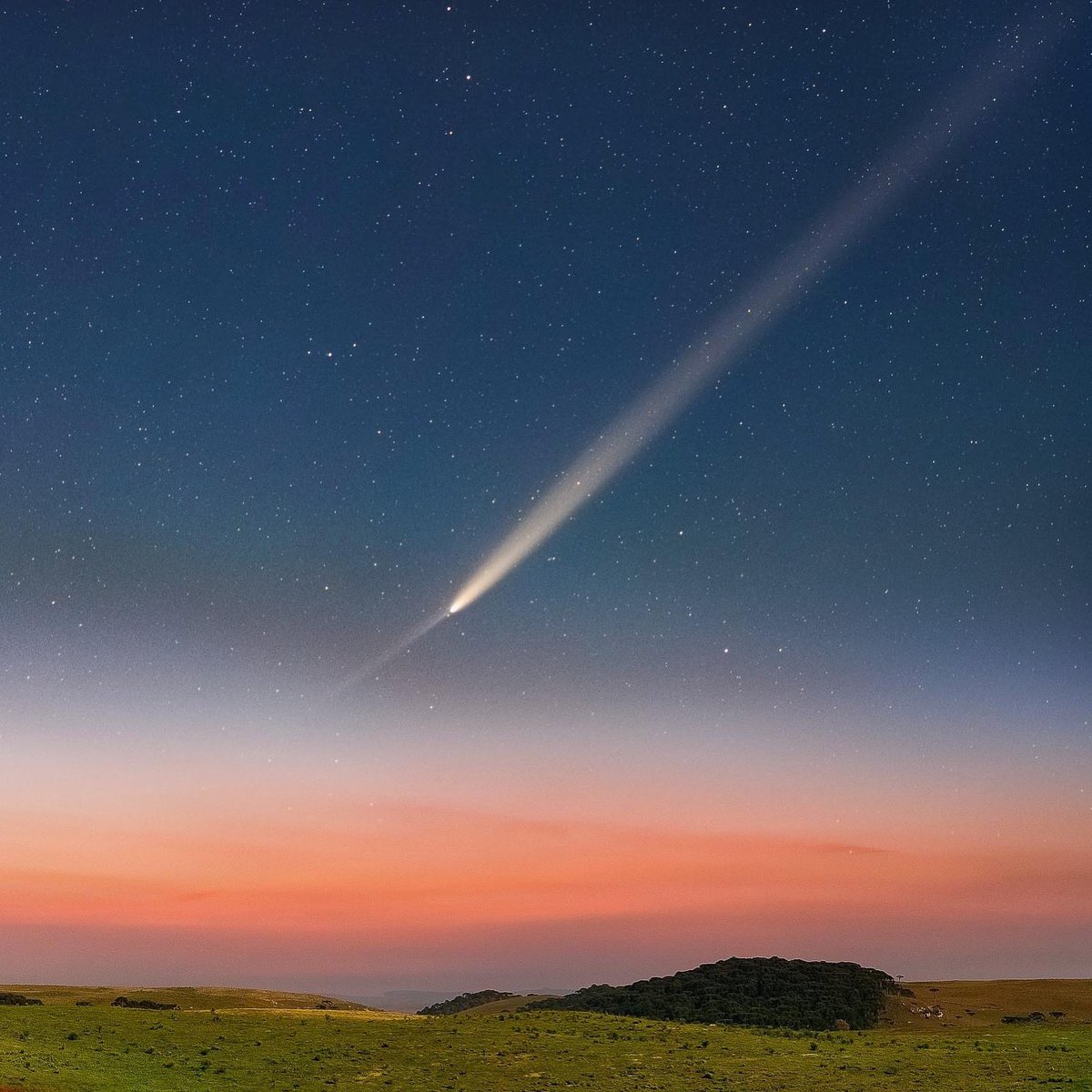 Milky Way tweet media
