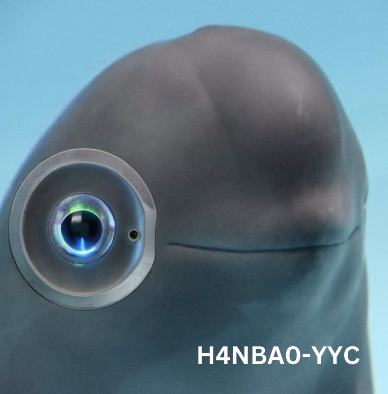 wirelyss's tweet photo. @threearrowzcap @nicodotfun @realityxplained @balluptop_ @supercycle_real @RawrXDToken @RealCrashoutSol @GoldenRatiolol @neuracatsol @updogtoken he can be saved with our help, just like the Yangtze finless porpoise. 

Hanbao is also an artificial intelligence coin, a true pioneer porpoise. He is the first artificially bred, second generation finless porpoise-  codename YYC (yangyang calf) https://t.co/stYEUCaYun
