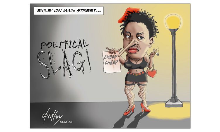 This week Dudley's cartoon!