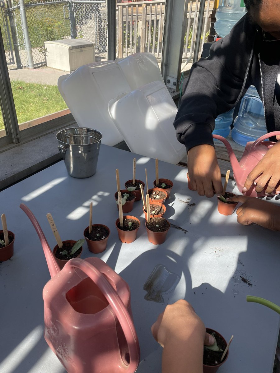 At the <a href="/TUSCOEC/">TUSC</a> Greenhouse today learning about habitats!