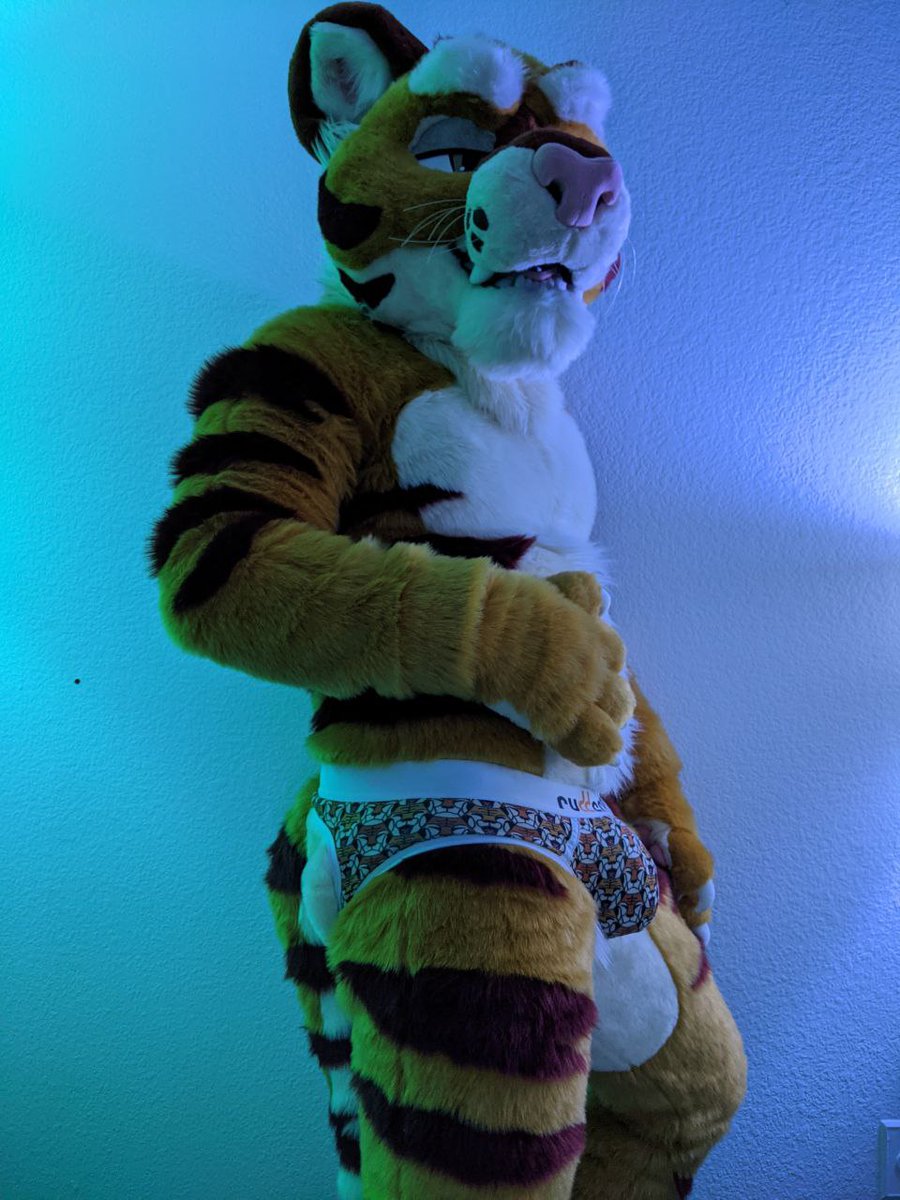 TigerMuzz's tweet photo. Fall weather is cuddling weather. Find a tiger to keep you warm for Fursuit Friday!

Let's hang out at the other place too https://t.co/9ePZSHJY61