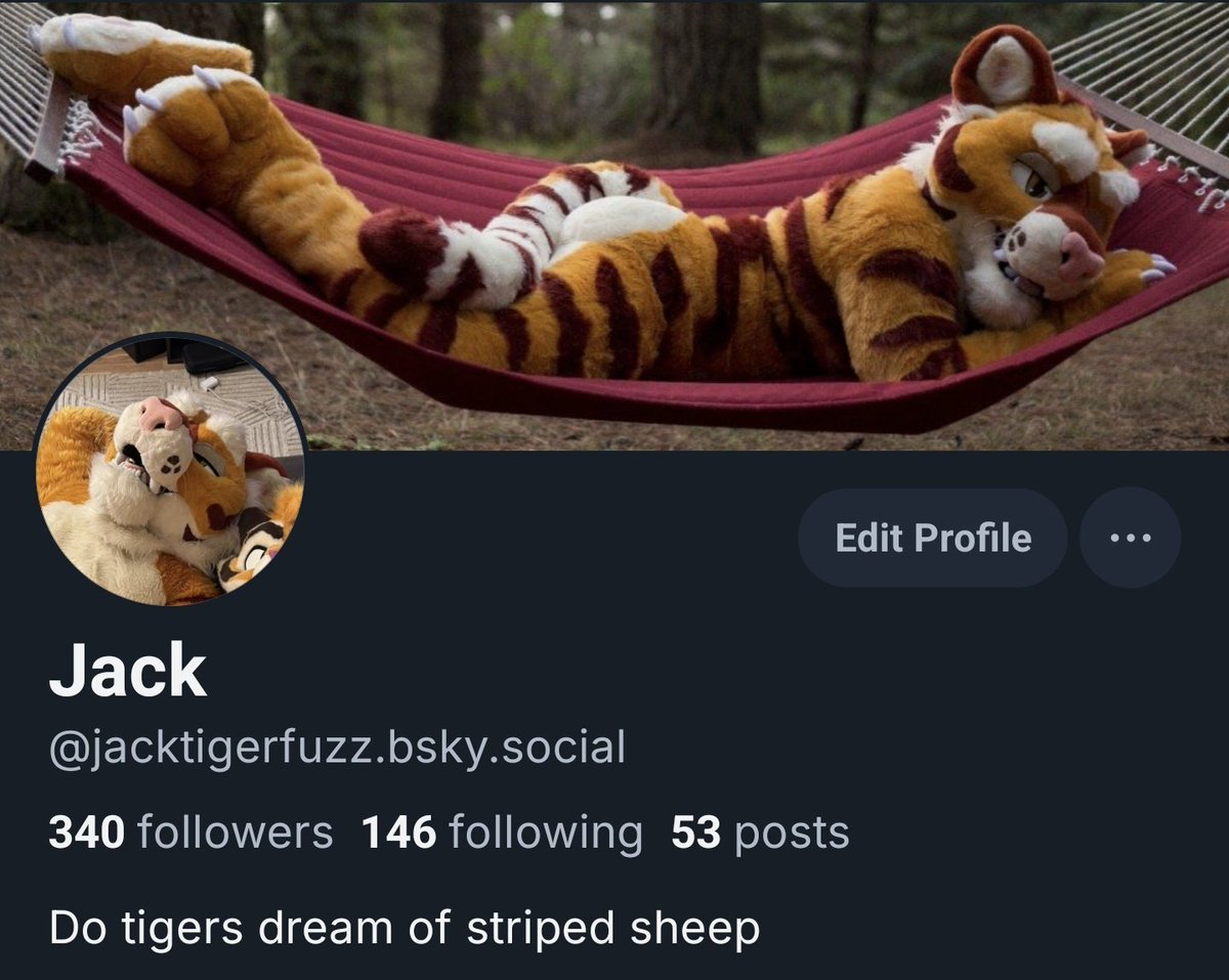 TigerMuzz's tweet photo. Fall weather is cuddling weather. Find a tiger to keep you warm for Fursuit Friday!

Let's hang out at the other place too https://t.co/9ePZSHJY61