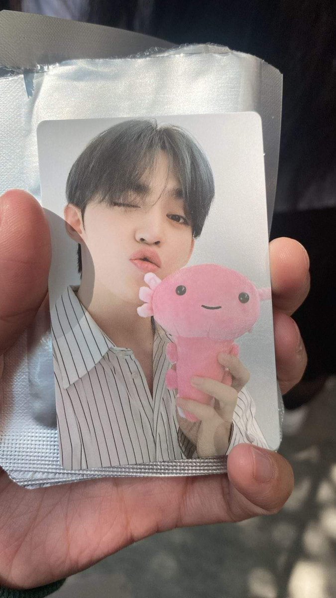 gureumart's tweet photo. svt pop-up in mexico exclusive https://t.co/MzKcxG1oZb