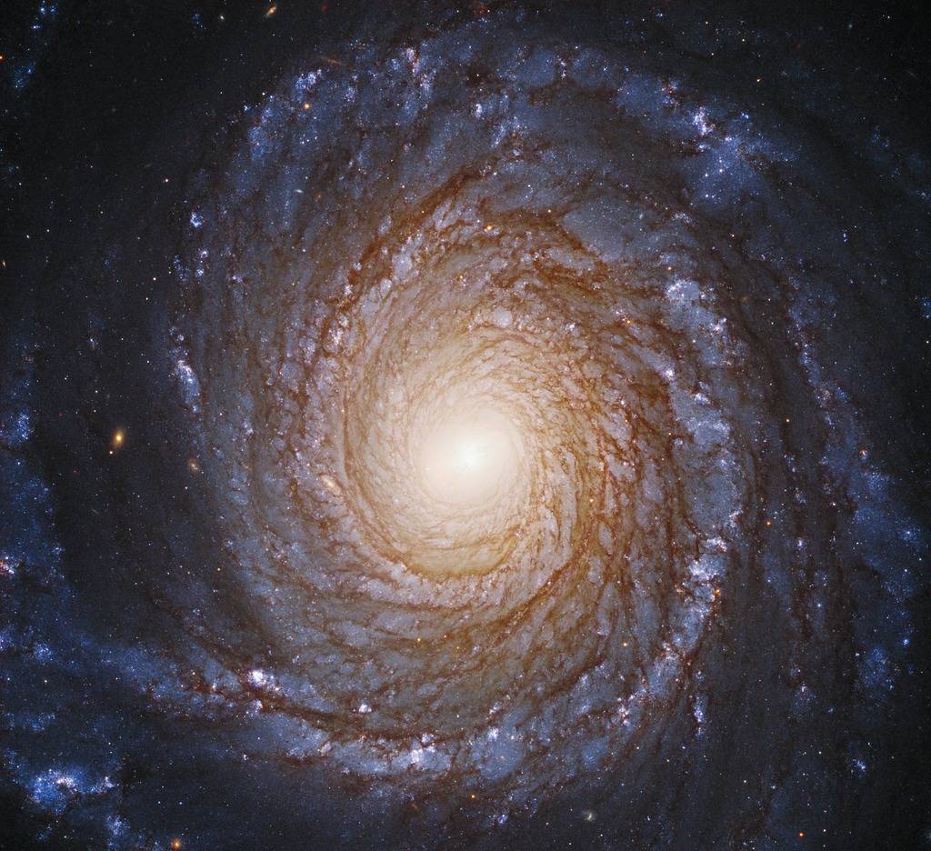 ABkotlin's tweet image. What kind of galaxy do we live in? An informative post related to different types of Galaxies From spirals to ellipticals and beyond -> t.ly/wgpaP
#Galaxy #NASA #universe #facts #FridayMotivation #science #Space #StarAcademyleLive #USA