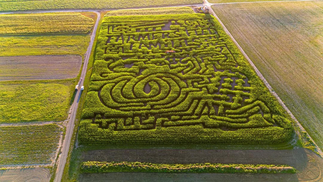 travelportland's tweet photo. Lose Yourself in These 7 Portland-Area Corn Mazes: https://t.co/zHDoUNy1Fr
#ThisIsPortland https://t.co/qCVKfyQdqc