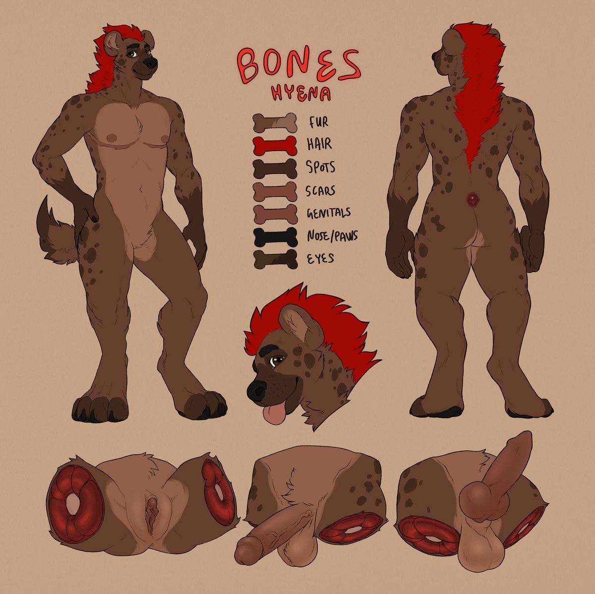rustweeds's tweet photo. ref sheet for @BonesTheHyena :3 had so much fun working on this guy 🧡🧡 https://t.co/YKBmmY8jO4