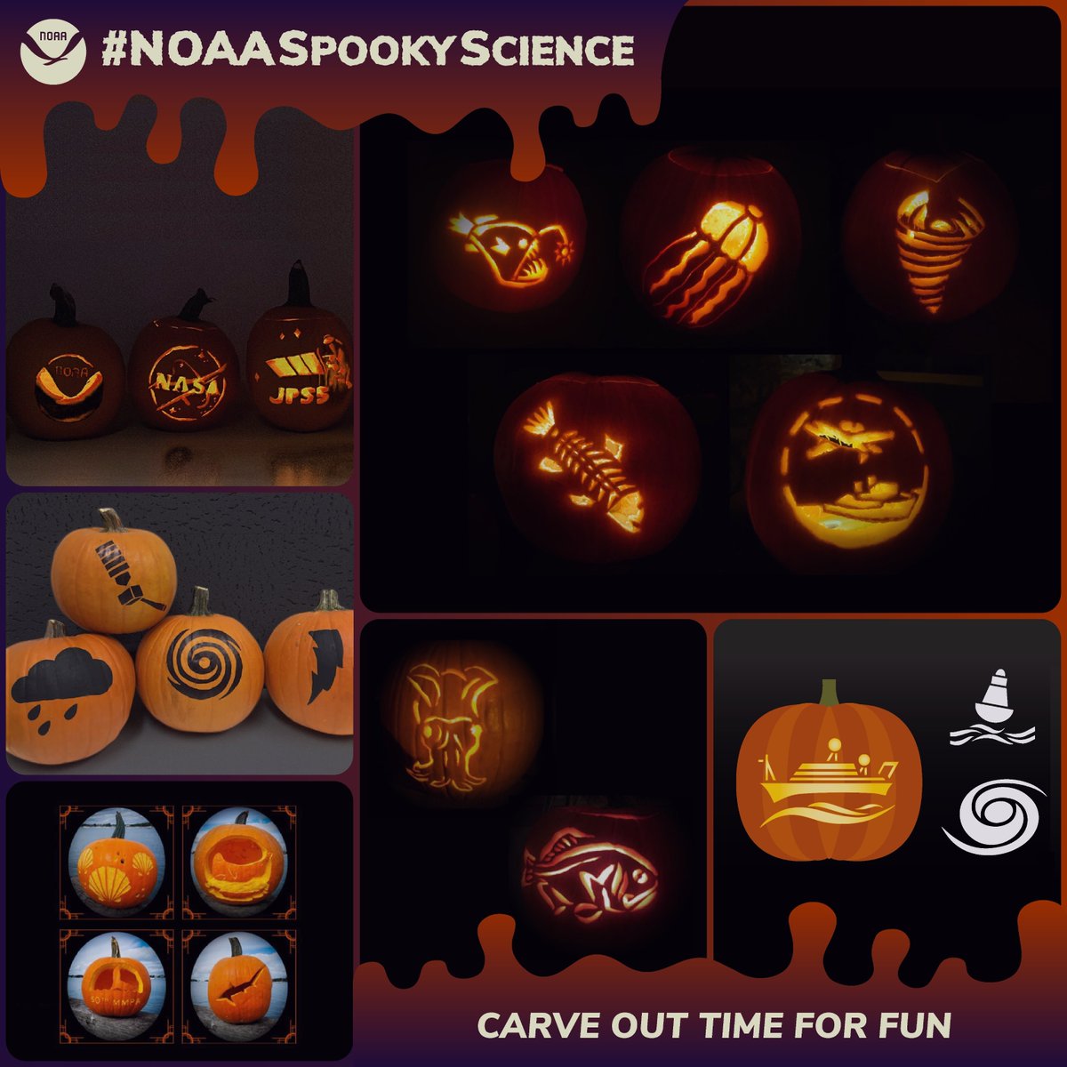 NOAAeducation's tweet photo. This year, carve out time for fun! NOAA has all the templates you need to make the perfect #NOAASpookyScience jack-o-lantern this season:
https://t.co/hawGuwcrPG
#FallInLoveWithScience https://t.co/yaoyGAKJCr