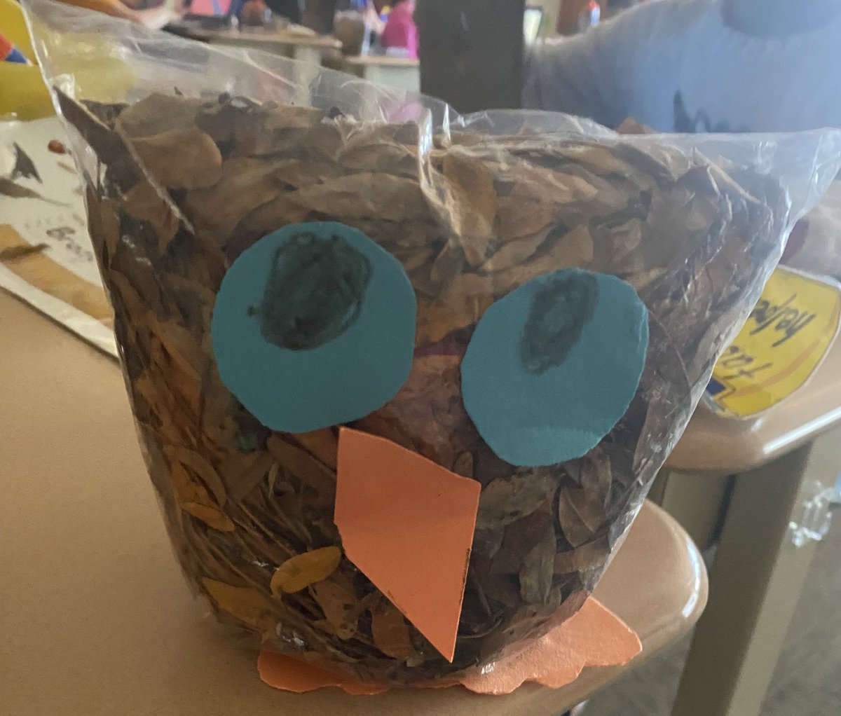 An early morning nature adventure turned into a fun afternoon project…#plumlearns