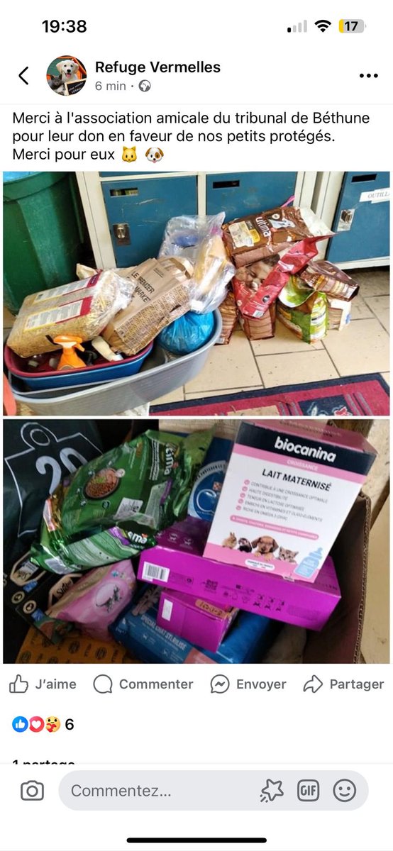 PTJBethune's tweet photo. L’Amicale du TJ de Béthune s’est mobilisée pour apporter son aide aux pensionnaires du Refuge de Vermelles. Vous aussi, n’hésitez pas à les soutenir : https://t.co/plKF5ztABE
🐱🐶 https://t.co/1fN8vjaYIo