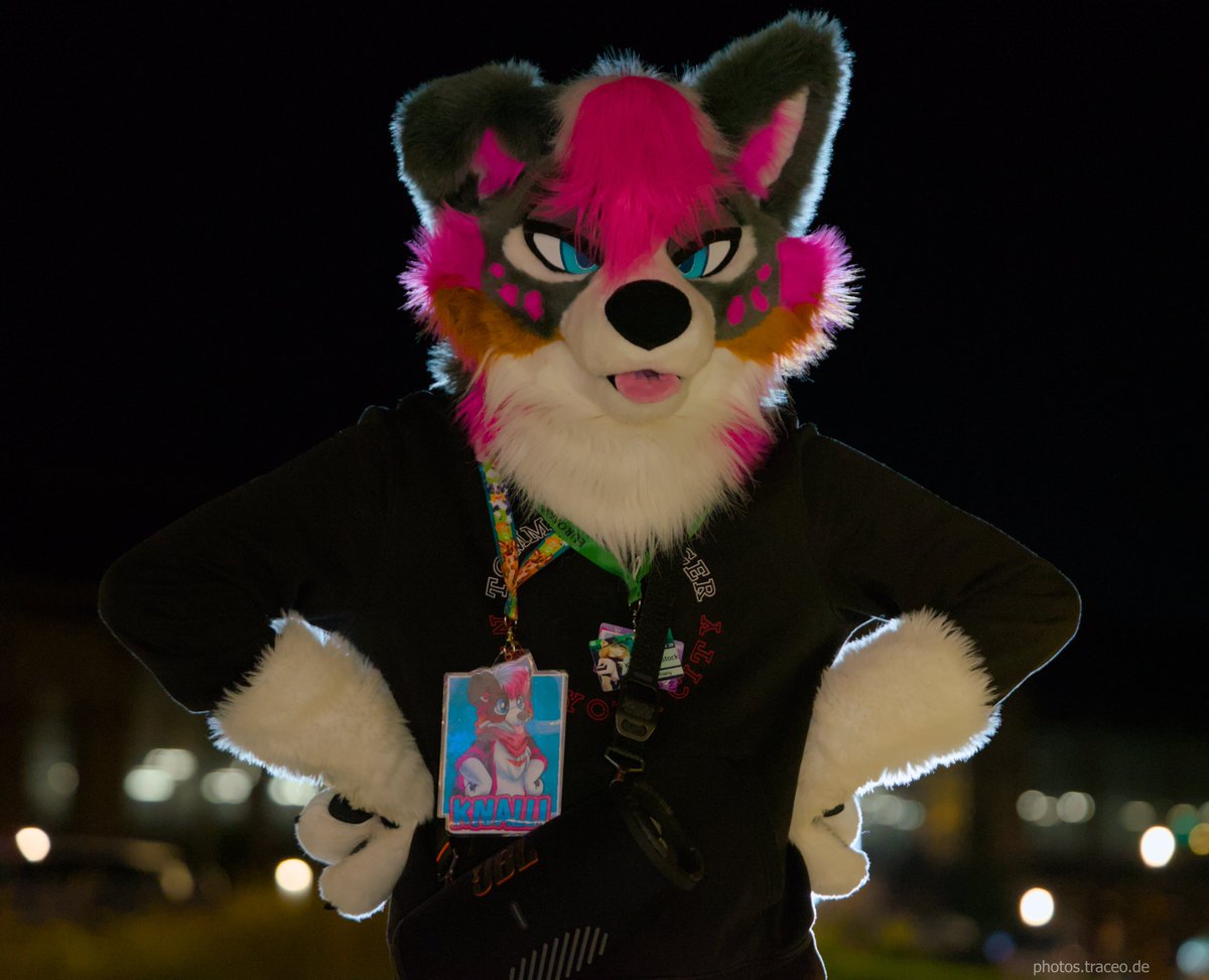 Let's listen to bunker techno!

📷: <a href="/TraceoTheFox/">Traceo</a>
📍: #EF28

#FursuitFriday #Fursuit #Furry