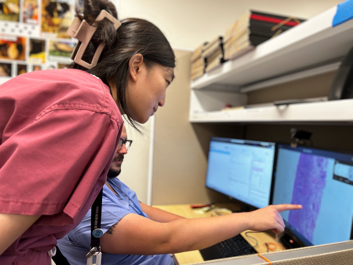 NYUGSOMpathres's tweet photo. Exciting times at @NYUGSOM_Path! Our residents and faculty are now equipped with state-of-the art digital workspaces. Here's Nick embracing the future and harnessing the power of tech for improved collaboration. 💻✨#DigitalPathology #NYUPathology #NYU #Path2Match #Pathtwitter https://t.co/FZveXjX9ua