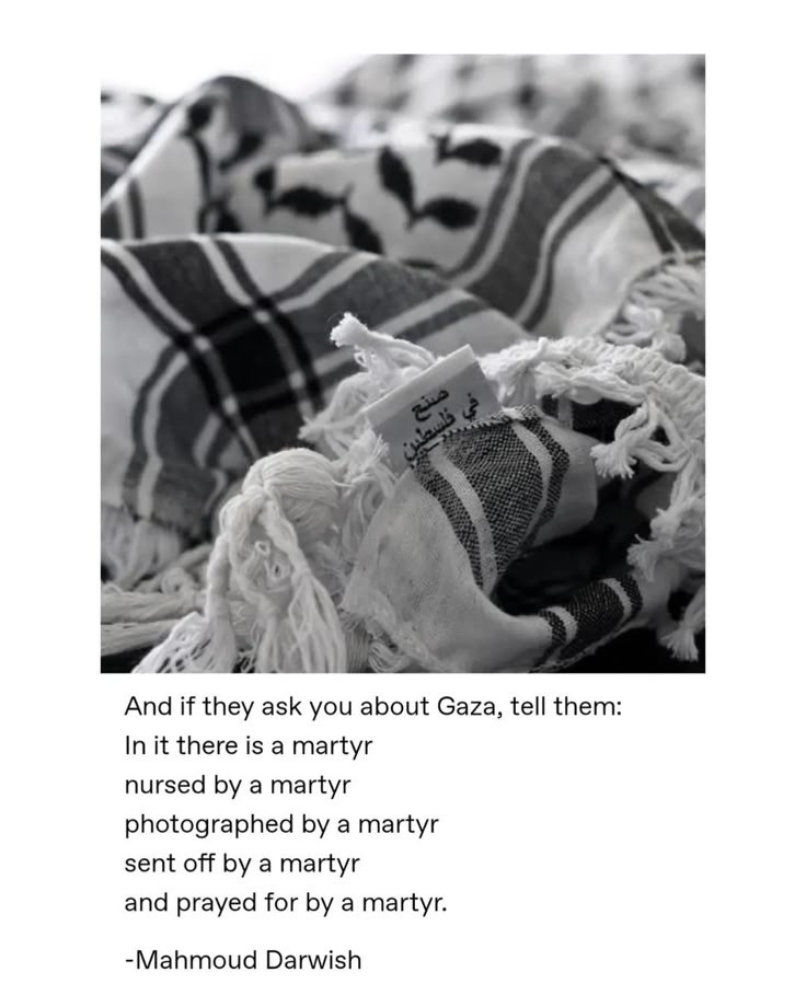x4shi1's tweet image. &amp;amp; if they ask you about Gaza..