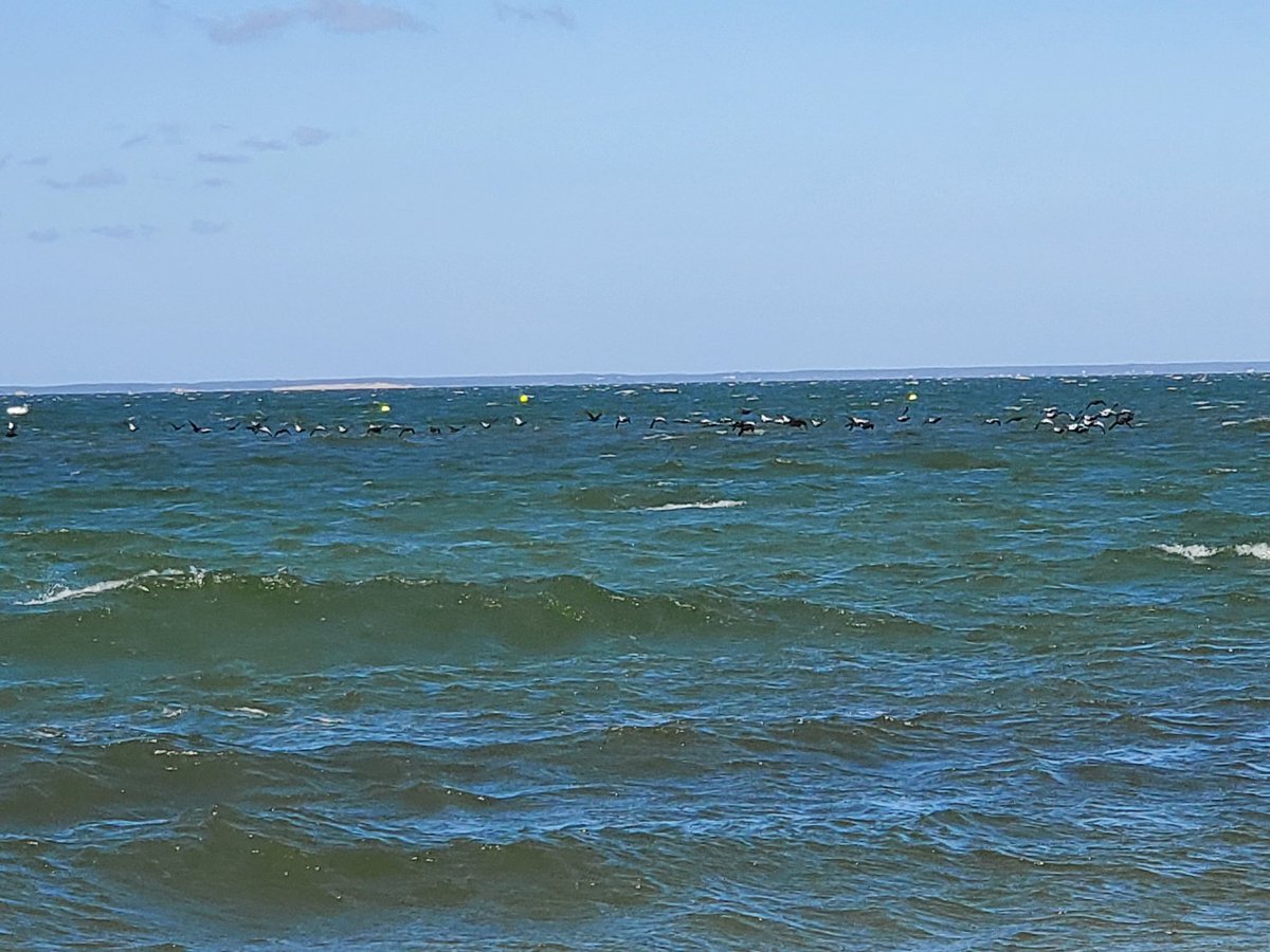 My4EverWorld's tweet image. It's hard to leave this beautiful place 🥲❤️🍃🍂
#nature #CapeCode 
#NatureBeauty