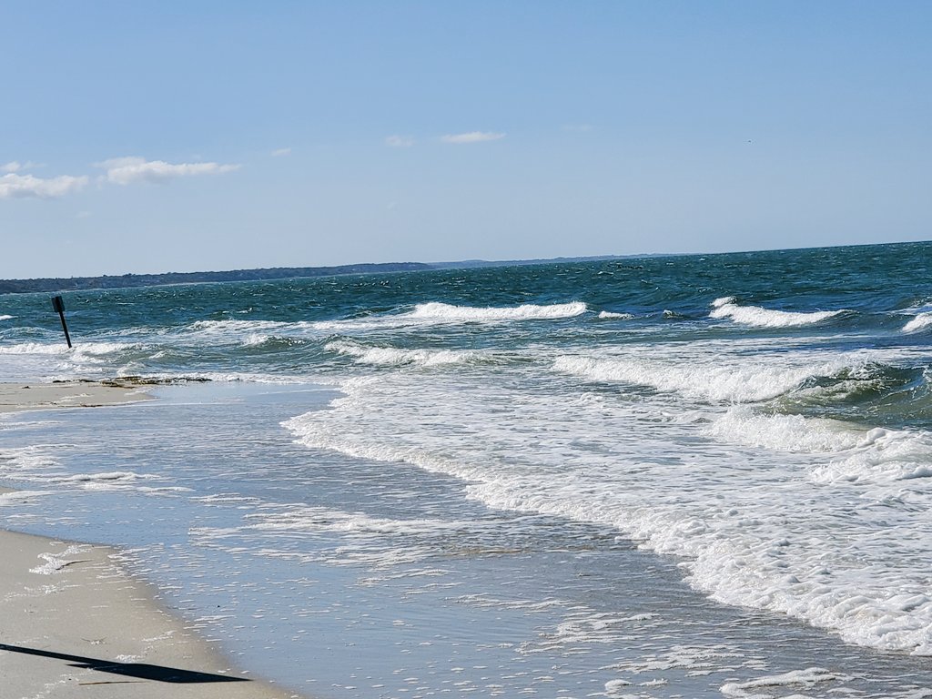 My4EverWorld's tweet image. It's hard to leave this beautiful place 🥲❤️🍃🍂
#nature #CapeCode 
#NatureBeauty