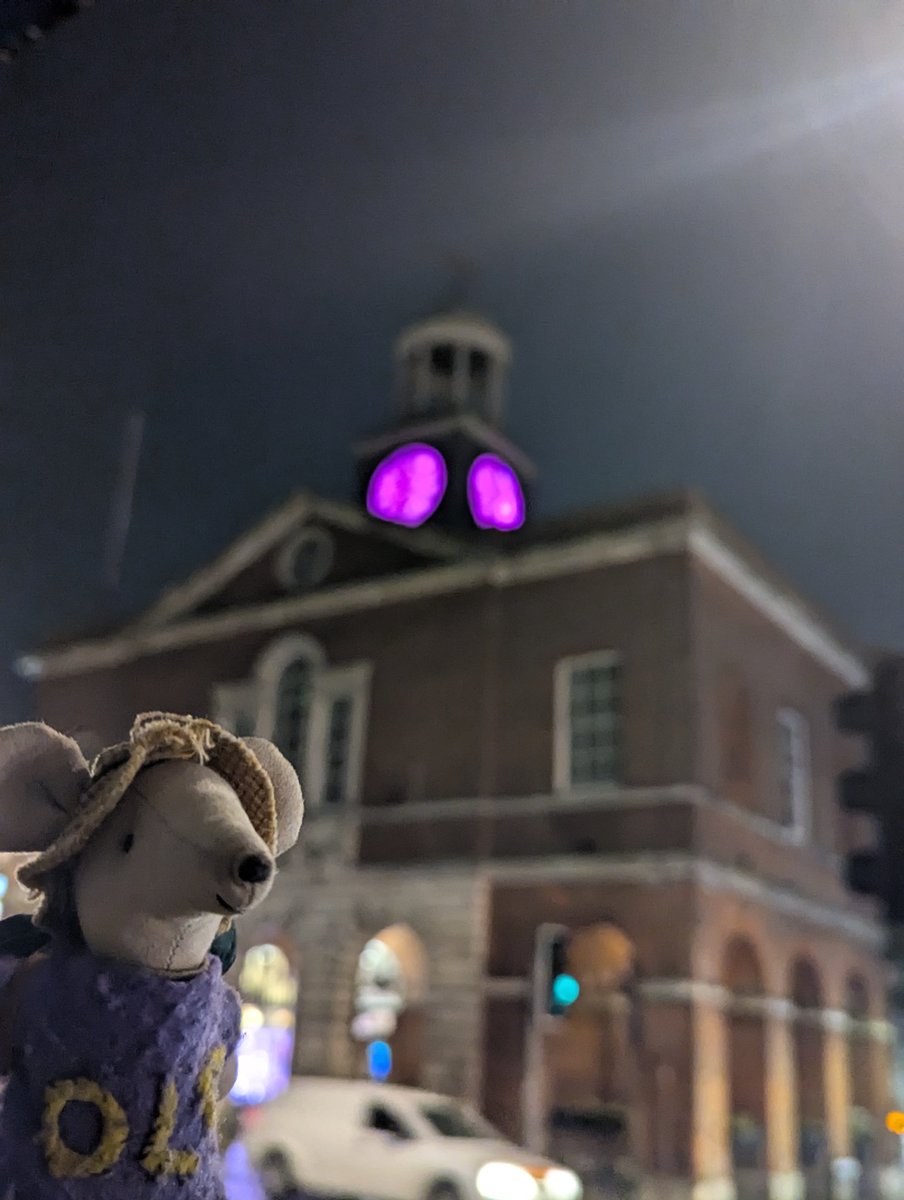 TheDLDMouse's tweet image. Loved seeing Bridport town hall in purple 💜💜 #dldday