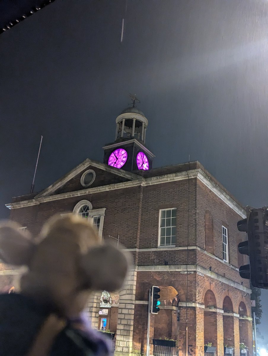 TheDLDMouse's tweet image. Loved seeing Bridport town hall in purple 💜💜 #dldday
