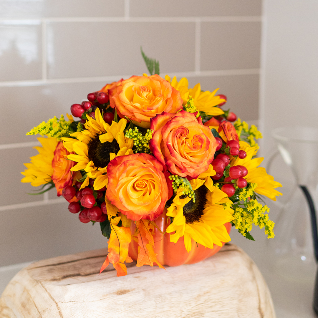 FlowersSend's tweet image. Fall in love with October! Cherish the crisp mornings and golden sunsets that make every day worth savoring 🌅🍂

#FallInLove #OctoberMagic #GoldenSunsets #SendFlowers