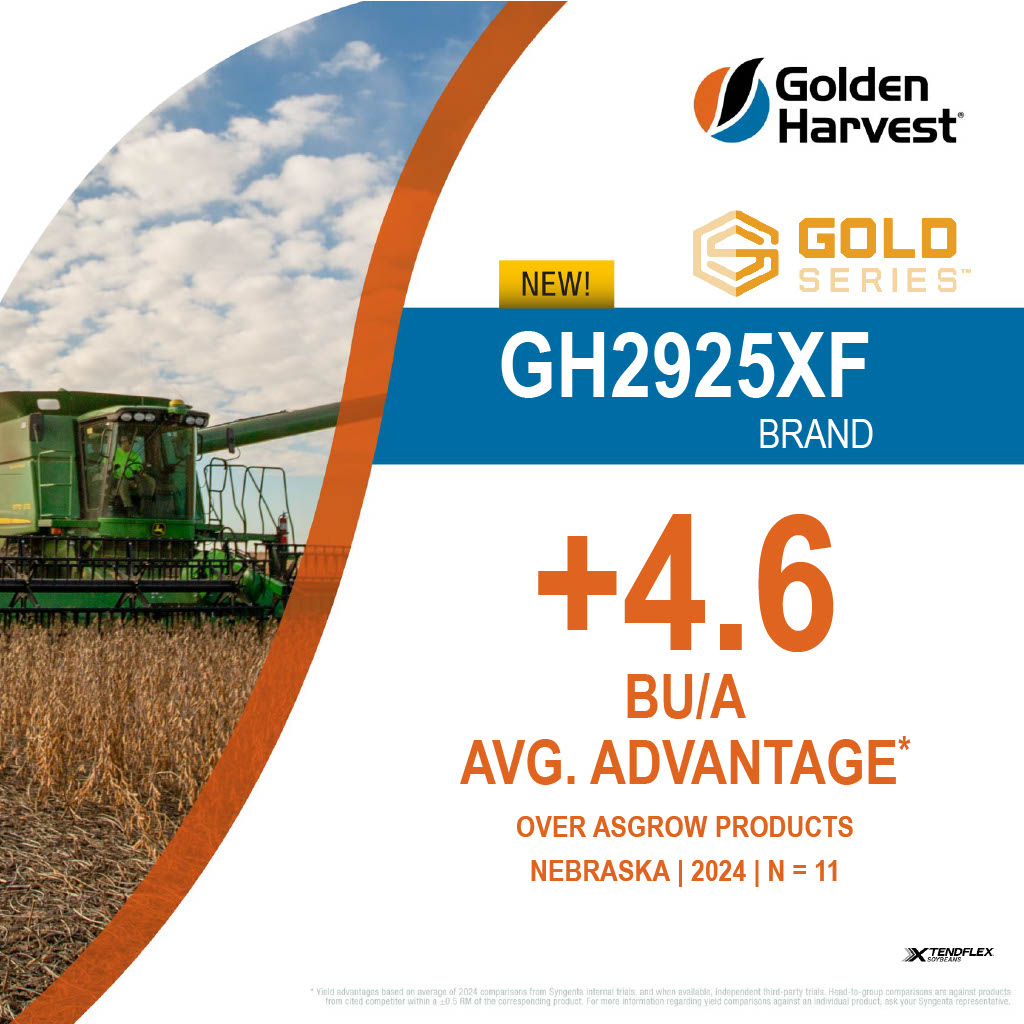 This new Gold Series variety wins the day in Nebraska! GH2925XF outyields Asgrow products by a 4.6 Bu/A average advantage across eleven comparisons in NE.
#HarvestGH24 #Harvest24