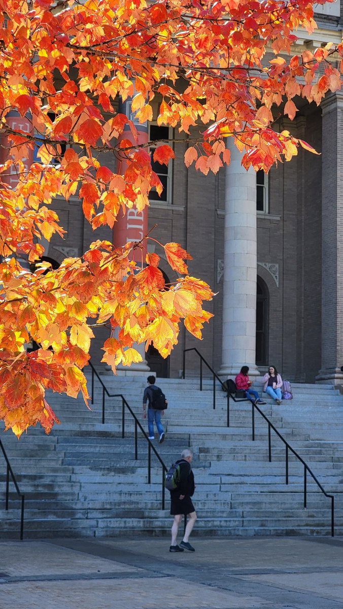 EngineeringSU's tweet photo. #FallFridaysππ @SyracuseU https://t.co/u4pQZau9Mc