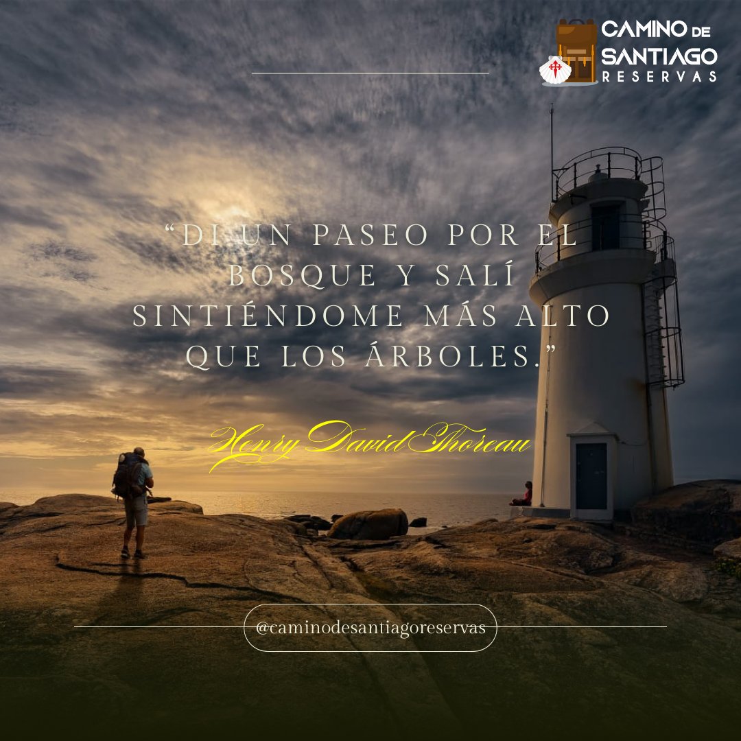 ReservaCamino's tweet photo. “Di un paseo por el bosque y salí sintiéndome más alto que los árboles.” Henry David Thoreau
https://t.co/nt80ejrlw4
#CaminodeSantiagoReservas
#caminodesantiago2024 
#caminalento https://t.co/G0YAkchvqW