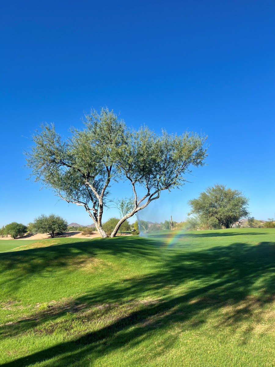 TatumRanchGC's tweet photo. 🌱 Our course is growing back to its vibrant, lush self after a successful overseed! Who's ready to tee off next week and enjoy these stunning greens? Grab your clubs and get ready for some epic rounds of golf ahead! ⛳️🏌️‍♂️ #GreensAreCalling #ReadyToPlay https://t.co/8pTSzXxO3j