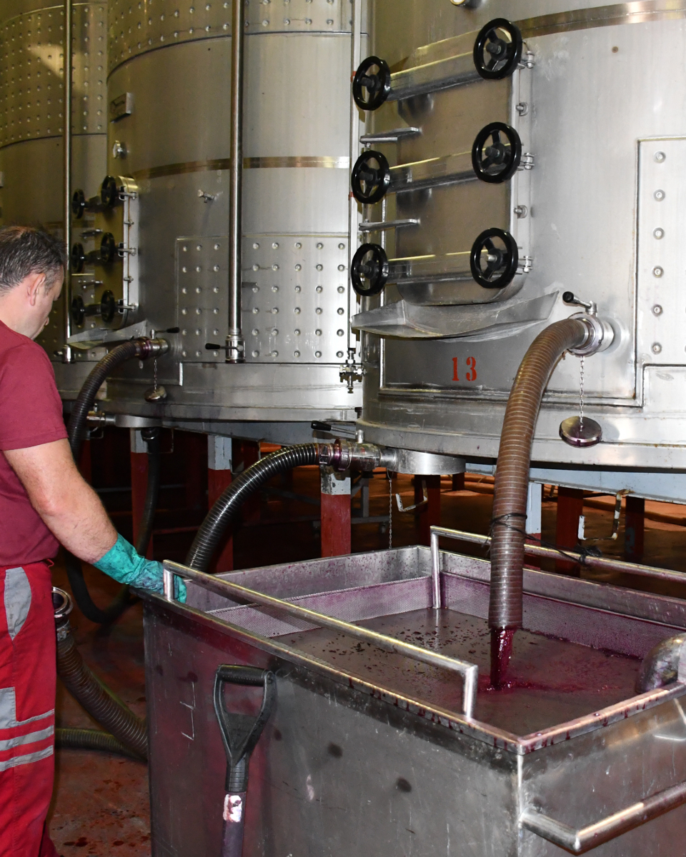SilentiumRibera's tweet photo. Los primeros depósitos ya han finalizado su maceración. Por eso estamos sangrando el mosto flor y descubando los hollejos de nuestra cosecha 2024.

#trabajosdespuesdelavendimia #postvendimia #descubado #castillejoderobledo https://t.co/tKVONkZZA1