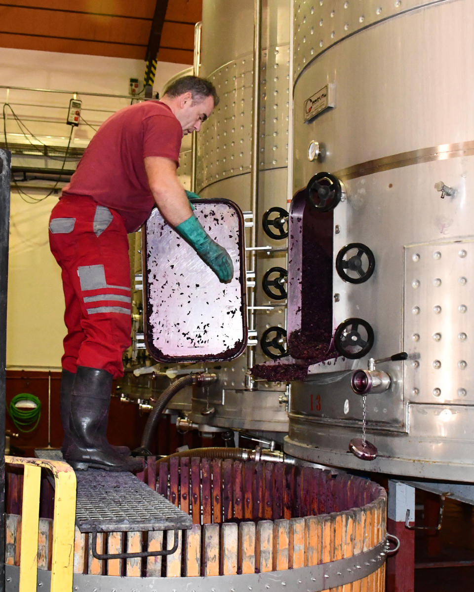 SilentiumRibera's tweet photo. Los primeros depósitos ya han finalizado su maceración. Por eso estamos sangrando el mosto flor y descubando los hollejos de nuestra cosecha 2024.

#trabajosdespuesdelavendimia #postvendimia #descubado #castillejoderobledo https://t.co/tKVONkZZA1