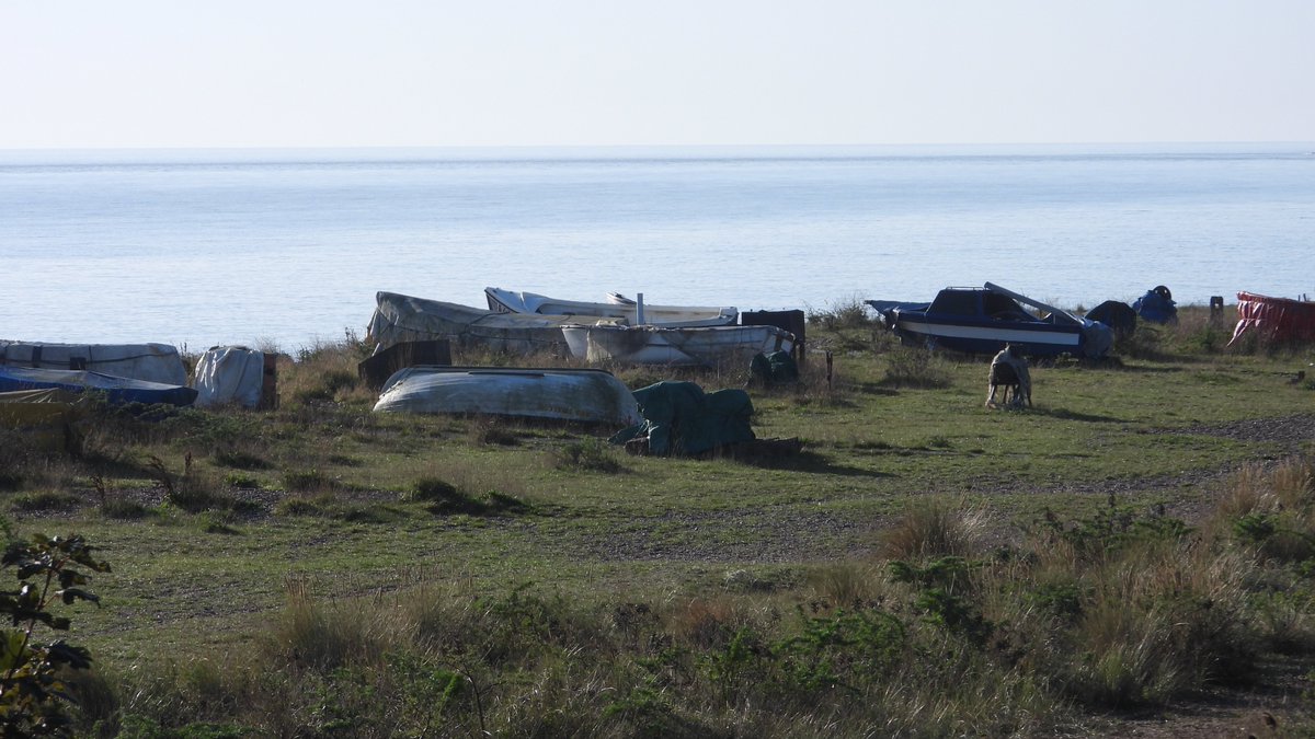 seuneke's tweet photo. My walk this morning was at Pakefield nr Lowestoft.
#Pakefield
#Beachhuts
#Beches
#Churches https://t.co/4WkBTWP4uO