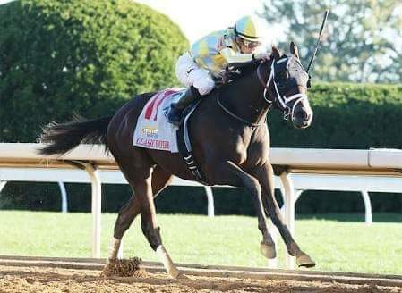 HORSERACING1002's tweet photo. CLASSIC EMPIRE๐บ๐ธ 2014
(PIONEEROF THE NILE- SAMBUCA CLASSIC BY CAT THIEF)#ClassicEmpire https://t.co/8Qsbr6Hmin