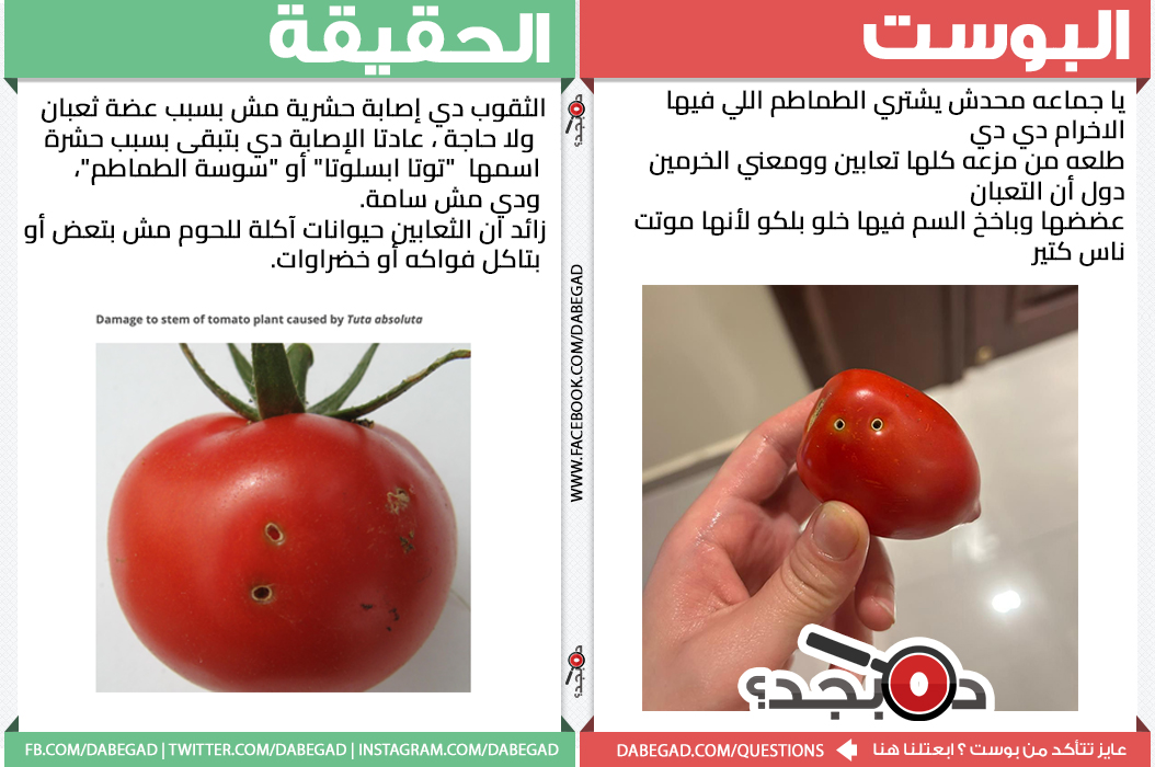 Da Begad tweet media