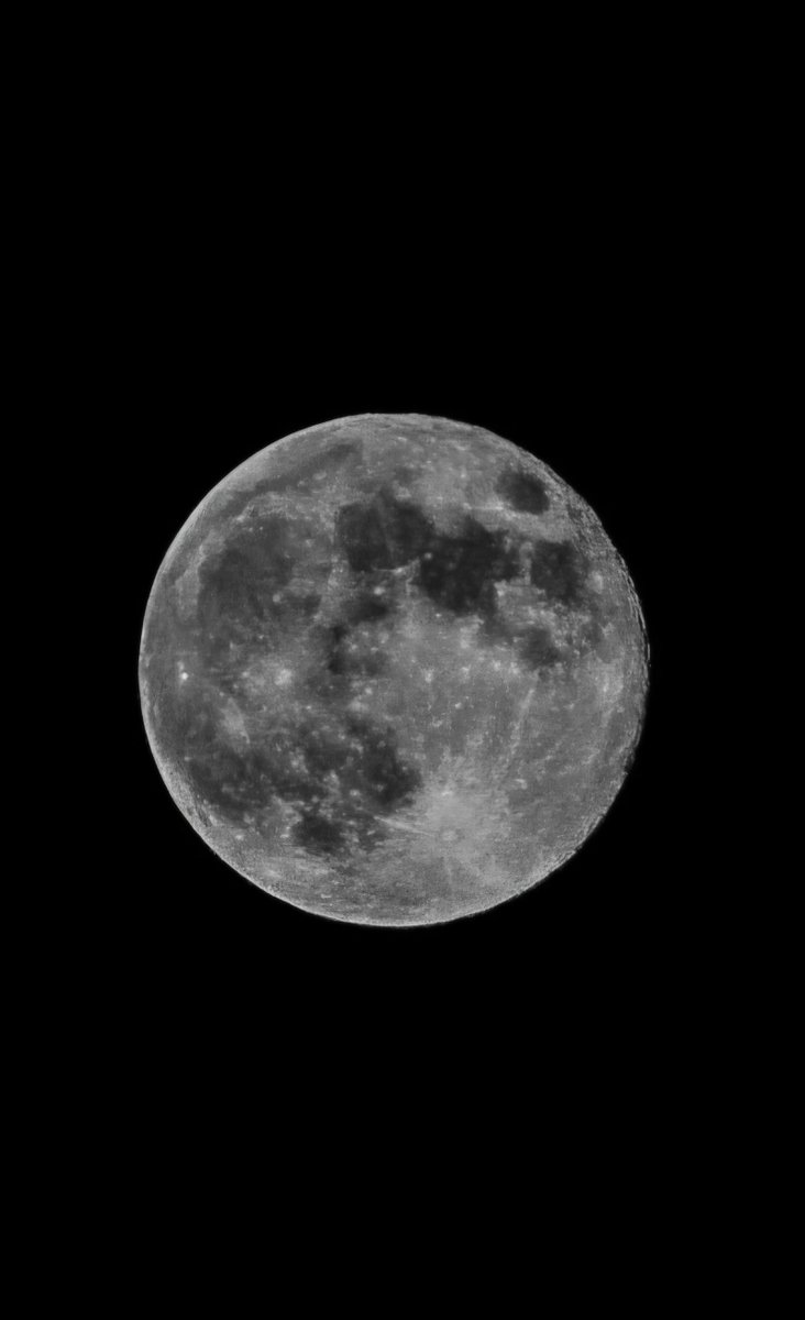 The moon was mooning last night. 🌚