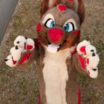Photo by Spicey Shepherd (@ShepherdSpicey)