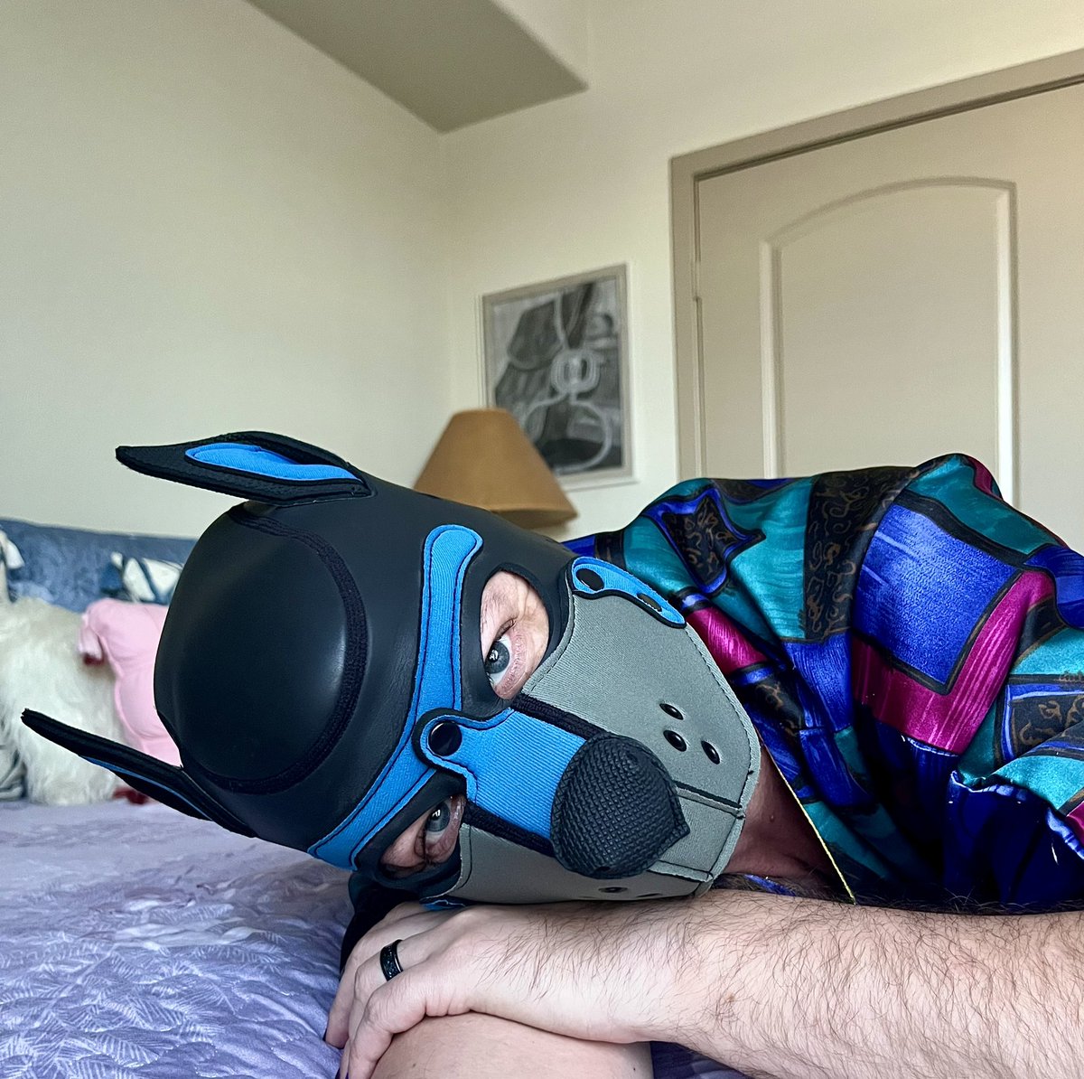 Pup Roger tweet media