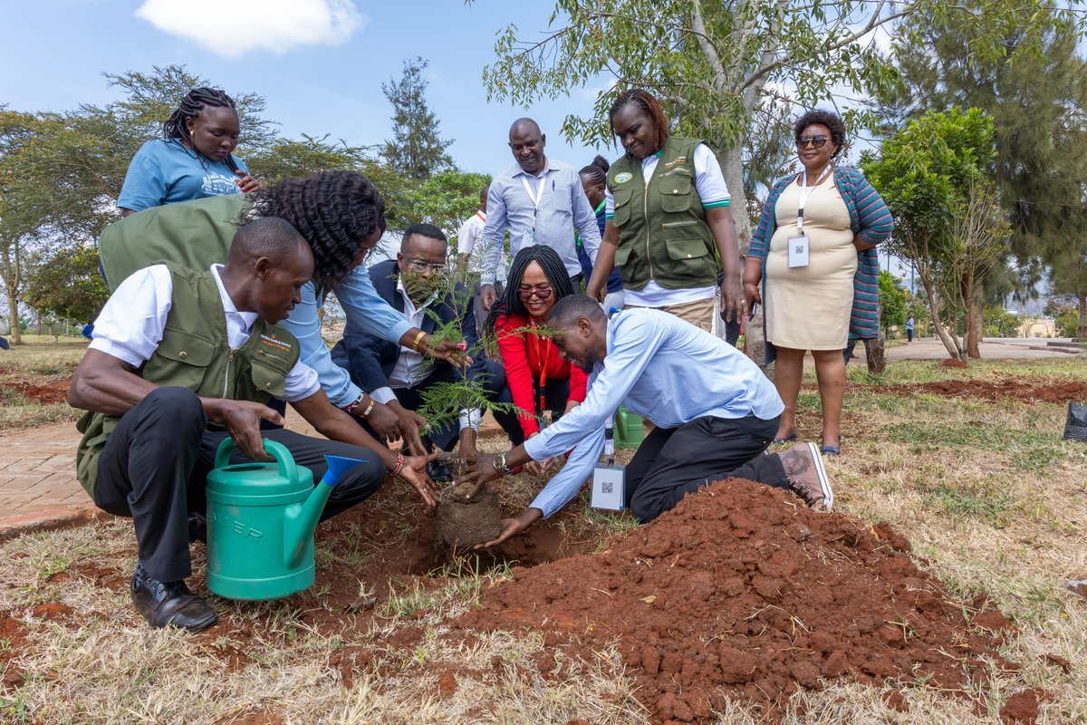 ConfHealth's tweet photo. Wrapping up the 3rd Health &amp; Climate Scientific Conference with a meaningful tree-planting activity!  Together, we’ve not only shared knowledge but also taken action to protect our planet. Let’s continue to prioritize our environment for healthier, sustainable futures https://t.co/osDr4PrGmE