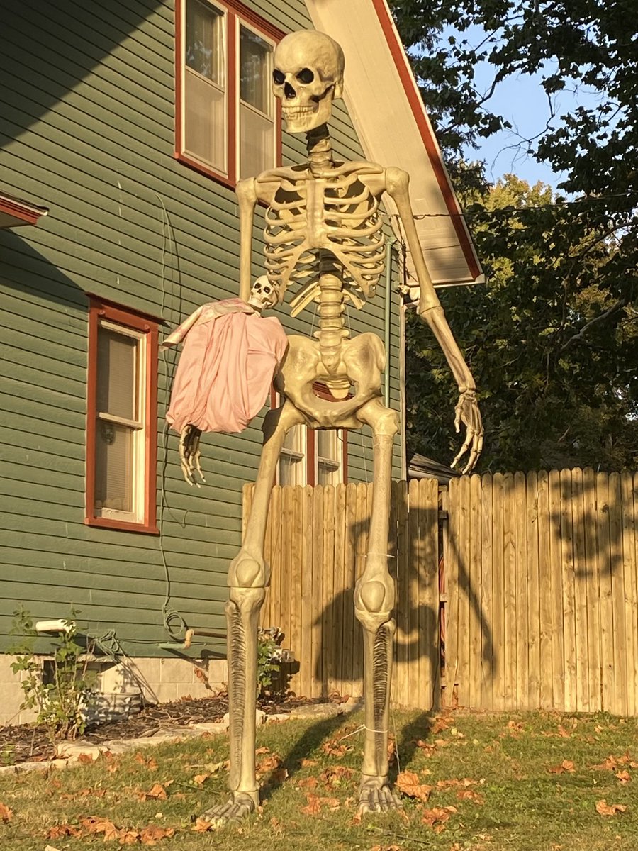 tnnralln's tweet photo. Skeleton birth is so beautiful (it’s a girl) 😍 https://t.co/XCiZbpgr03
