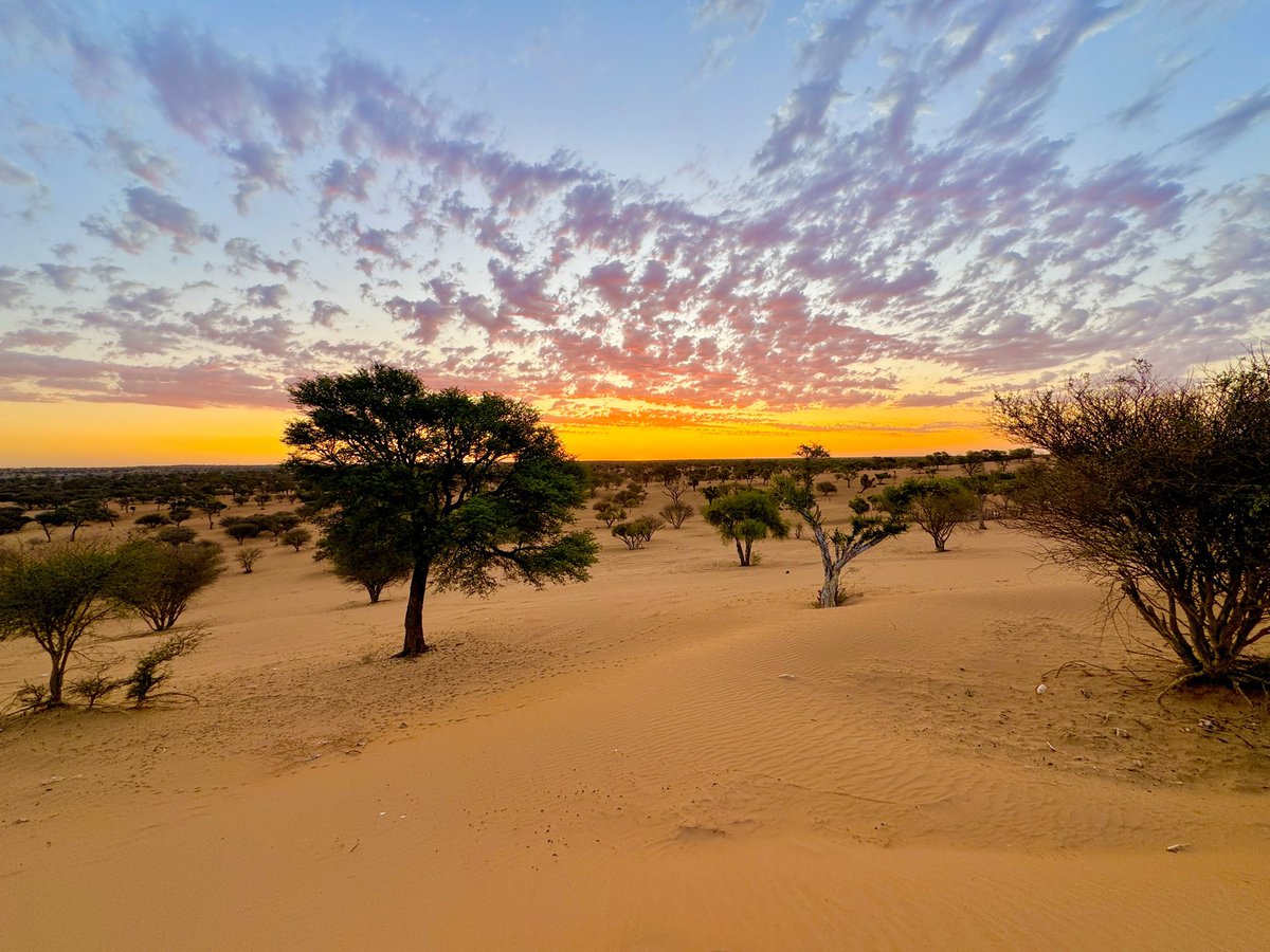 Ending poverty in Africa won't happen by only writing fancy policy papers but by every African taking action in his/her life and community to really mitigate this headache called #Poverty