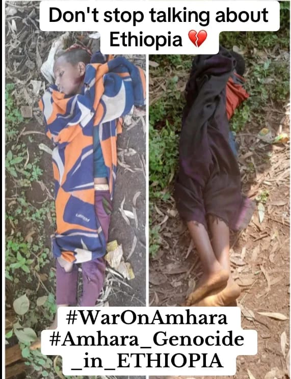 mohammed_meaza's tweet photo. Condemnation is necessary for the drone strike in Amhara. Targeting civilians is unacceptable.
#AmharaGenocide #WarOnAmhara 
@UNHumanRights @hrw @AmnestyEARO @USEmbassyAddis https://t.co/eEht7CsJsa
