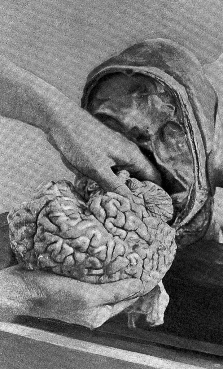 drironbrain's tweet photo. preparing to post on social media: https://t.co/LklwDiixmu