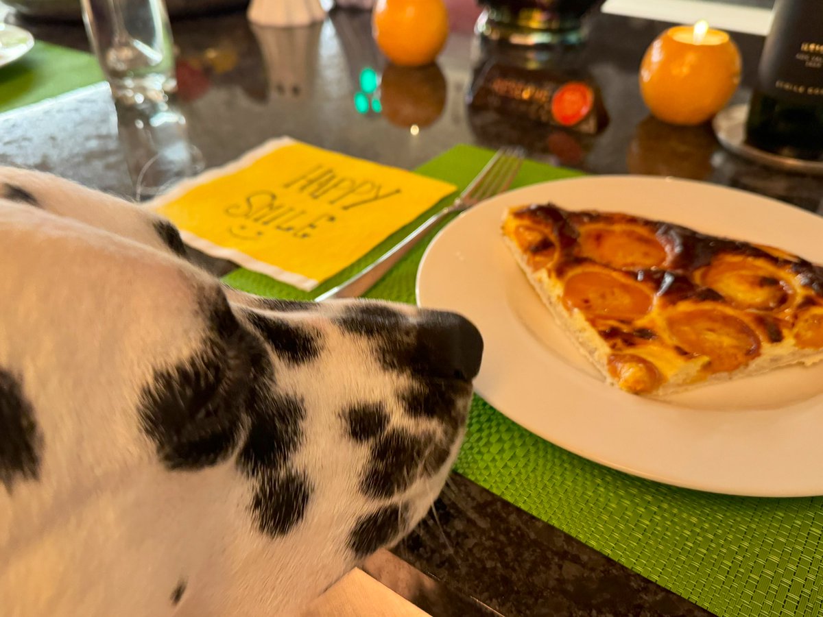 Heiterweiter66's tweet photo. Nicht nur die Menschen waren giggerig auf den Aprikosenkuchen - feeeein war er, dazu einen #Heida 😎 https://t.co/ll6XACRHvf