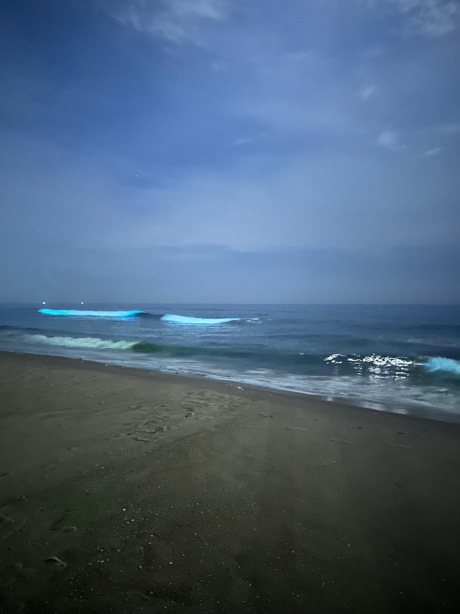 Ninajustin3's tweet photo. Got to witness #bioluminiscence here at #Palavakkambeach #chennai 
What a pretty sight ✨💫 https://t.co/7om1931MJx