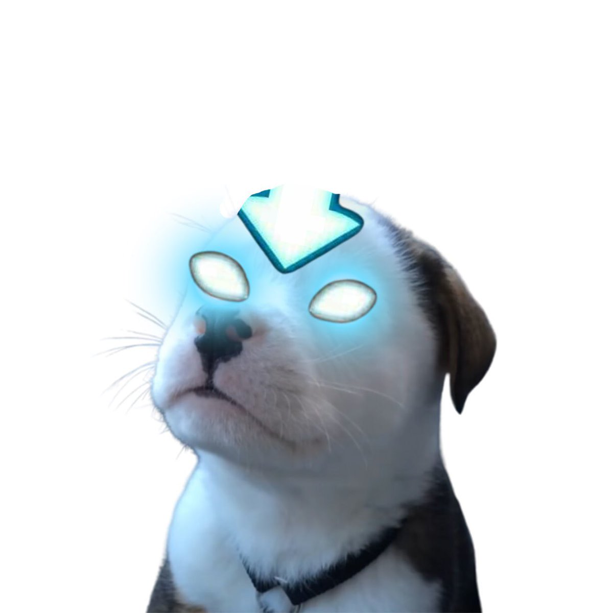 <a href="/cryptojourneyrs/">Rodney</a> LETS PUMP $BUCK TOGETHER

8Gzt96hA6Q2QPEVpB7zJqt32XWGFUY4bs4FU4tjdpump