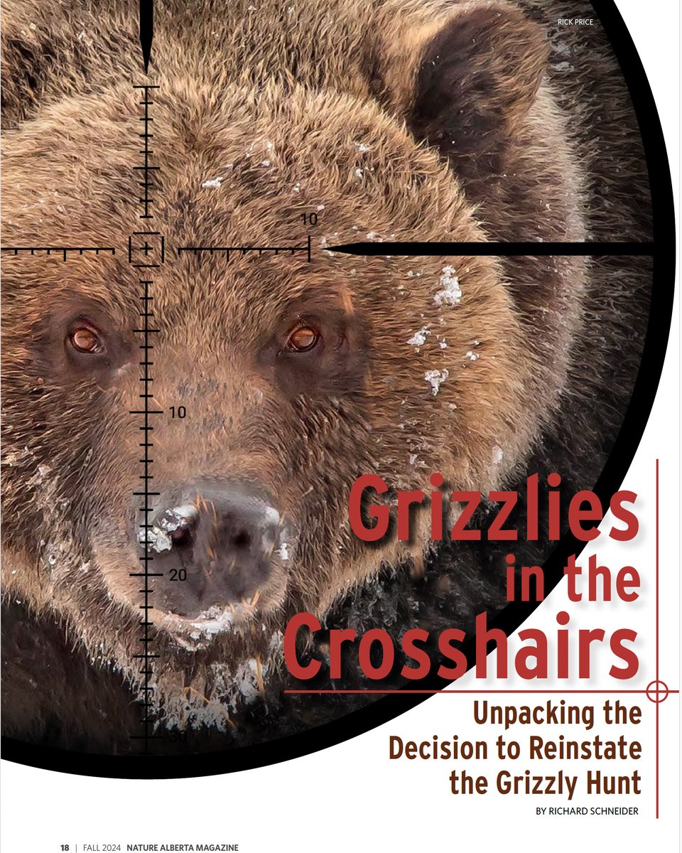 NatureAlberta's tweet photo. Peregrine recovery takes flight. Discover the dark secrets of the black swift. Invasive plants are on the attack. And then there’s the truly scary story of the reinstated grizzly hunt.

Read Nature Alberta Magazine FREE: https://t.co/6gEhyKM9Kn

📷Rick Price

2/2 https://t.co/leYKuxgKAV