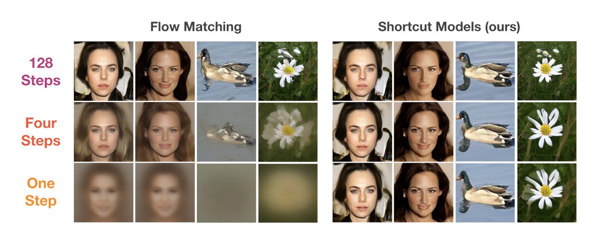 Excited to introduce Shortcut Models!

Shortcut models generalize diffusion/flow models by conditioning not just on the time step but also on the desired step size.

This allows for high-quality generations in a single forward pass. Learn more below 👇