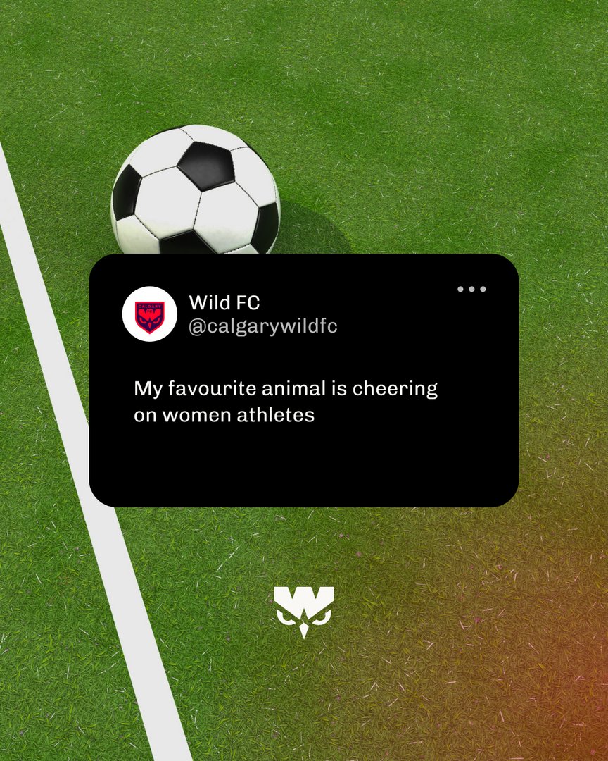 yycwildfc's tweet photo. Our favourite animal? Other than the Wild FC Owl 😉 Well, it’s cheering on women athletes, of course! You? #YYCWildFC #WomenInSports #CalgarySports #NSL https://t.co/9LDtMBb4oi