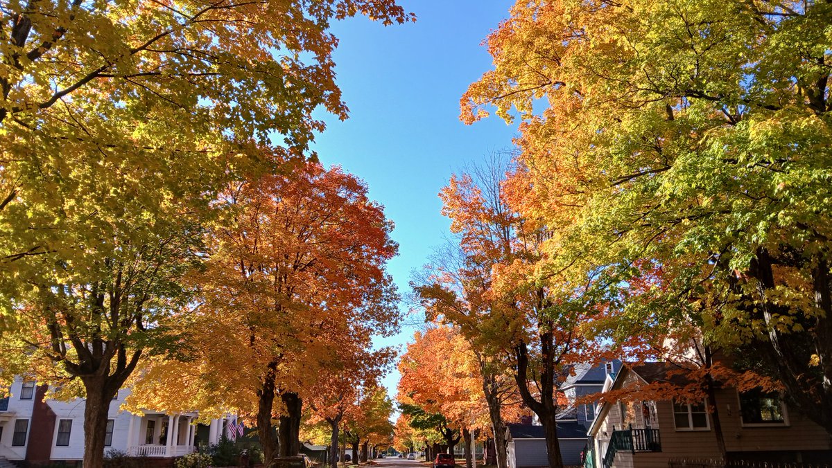 Rashiira's tweet photo. Got some stunning pics of the fall colors here! #photography #fallc https://t.co/P8nz4zCTV7