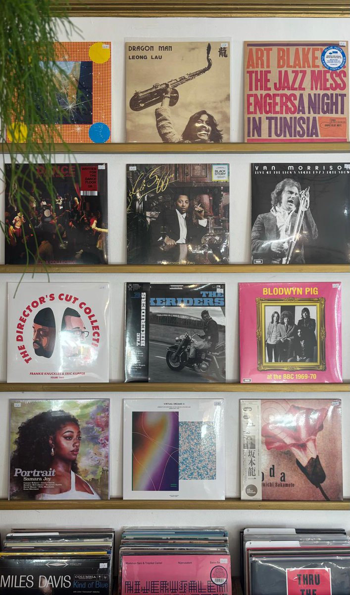 Nu Muzik Fridaze 🪩🪩🪩 

New Releases and Restocks 🪩🪩🪩