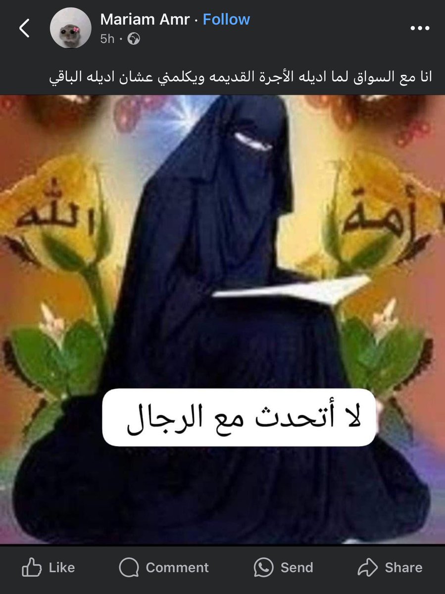 آية حبيب (@ayahabeb2711) on Twitter photo 