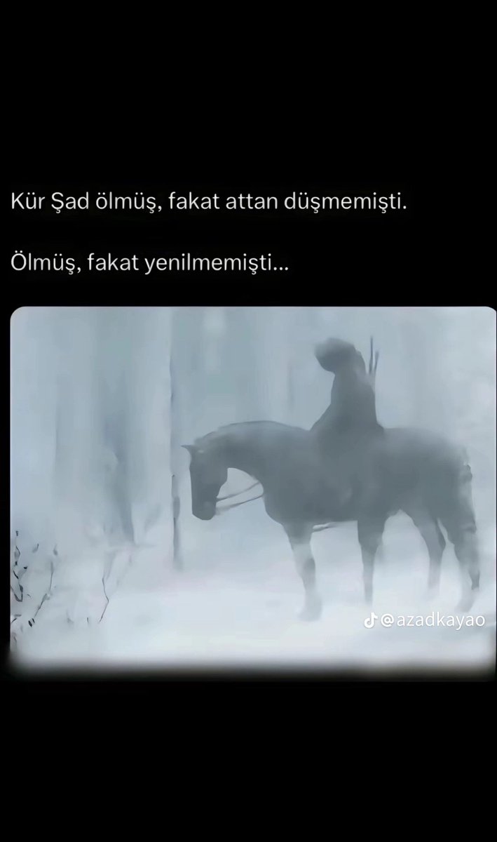 alihamitdincerr's tweet photo. @mscsinancelik var ol reis 🐺 https://t.co/6dBx39hEUg