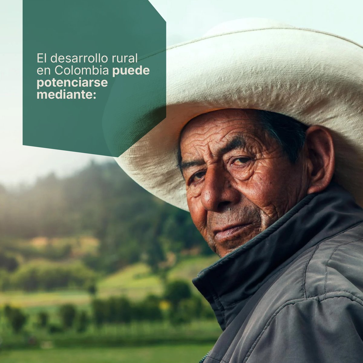 Sedecom's tweet photo. 🌾🇨🇴 El desarrollo rural en Colombia es clave para construir un futuro sostenible y próspero. No solo impulsa la economía local, sino que también promueve la seguridad alimentaria y la conservación de nuestros recursos naturales. https://t.co/sLSe4IH2oq